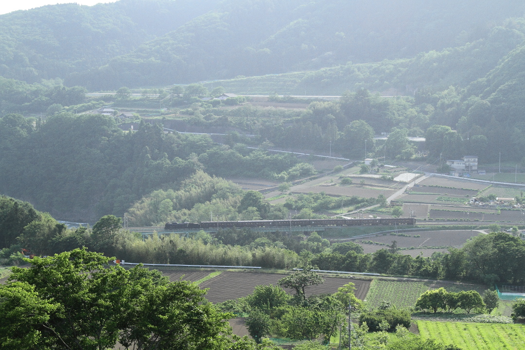 初夏の午後の光と影 - 2014年初夏・上越線旧客 - _b0190710_22151597.jpg