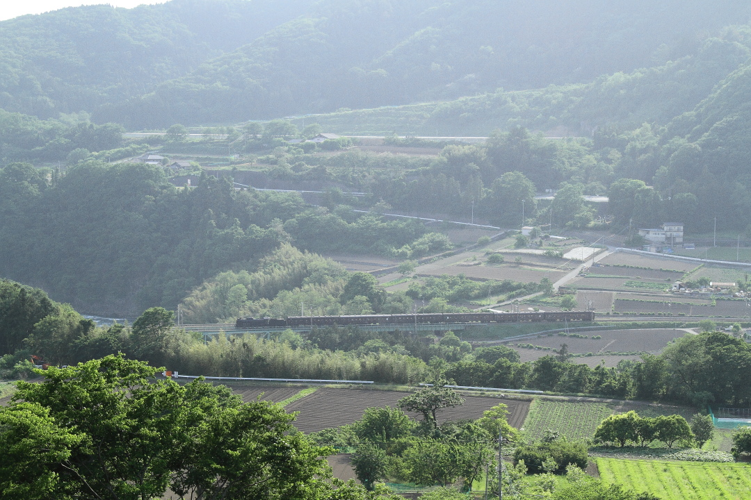 初夏の午後の光と影　- 2014年初夏・上越線旧客 -  _b0190710_22151597.jpg