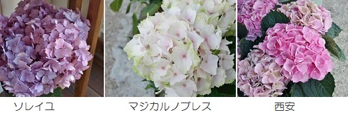 c0247614_17554278.jpg