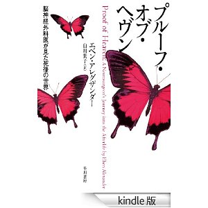 「天国の証明＝プルーフオブヘブン」２：「ブレインストーム」は「死後の世界」の映画だった！？_e0171614_20455889.jpg