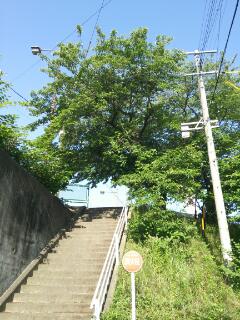 夏のイベント 梅﨑_e0149215_8425122.jpg