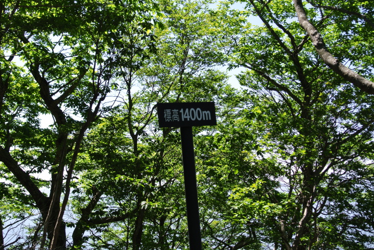 b0291016_12193896.jpg