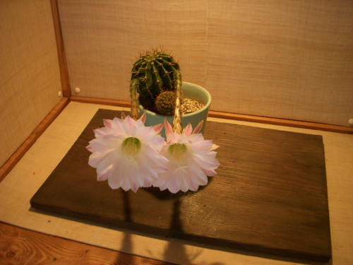 f0260120_22255731.jpg