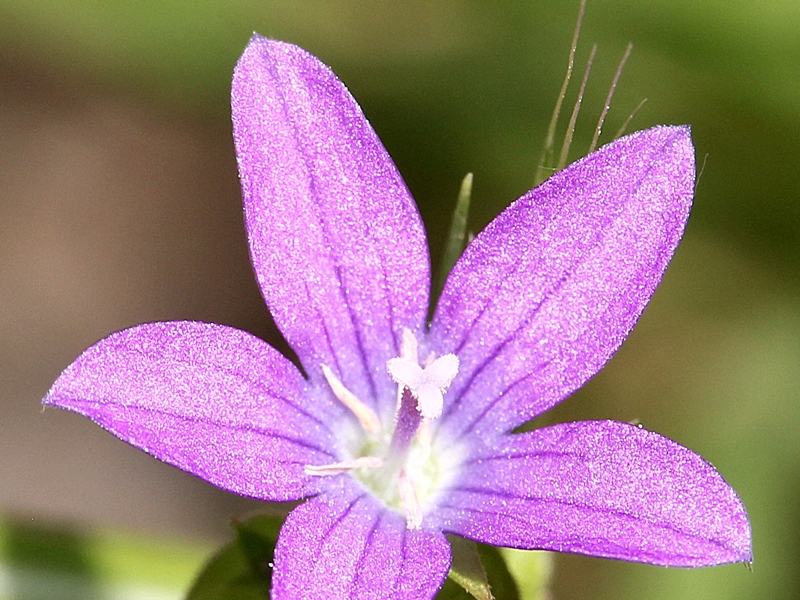 f0310221_1743358.jpg
