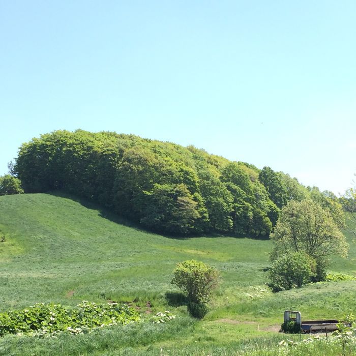 c0320623_1346731.jpg