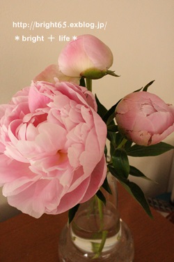 e0230923_272111.jpg