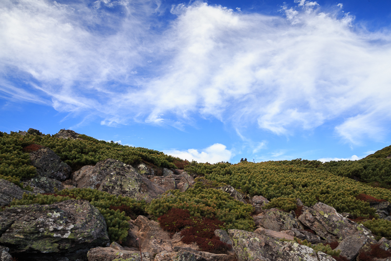 b0243727_2255514.jpg