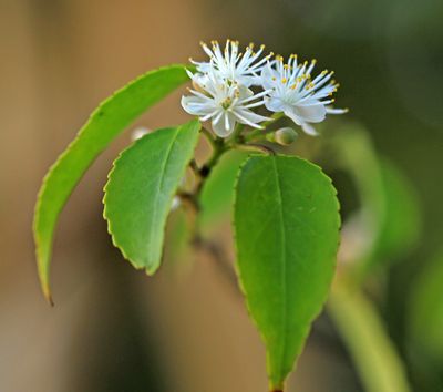 c0104227_542256.jpg