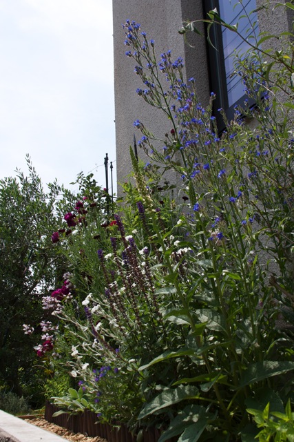 e0021328_16322.jpg