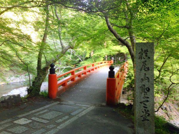 槙尾山 西明寺【早朝Drive】_b0004229_82613.jpg