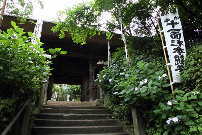 鎌倉散歩　#45 －初夏の金沢街道のお寺巡り（杉本寺）－_b0169330_16493360.jpg