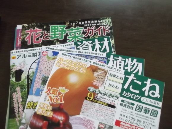 早くも秋野菜....カタログが届きました。_b0137932_9123277.jpg