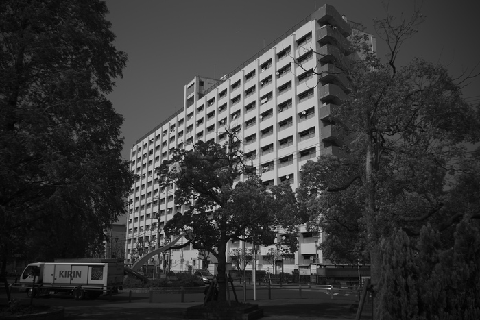e0191232_21354553.jpg