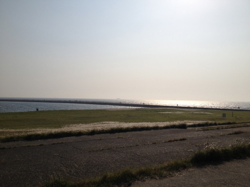 a0301640_20142835.jpg