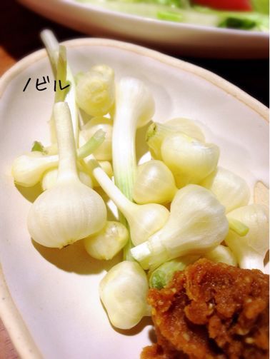 昨日の晩ごはん(おつまみ)(笑)_b0314244_185441.jpg