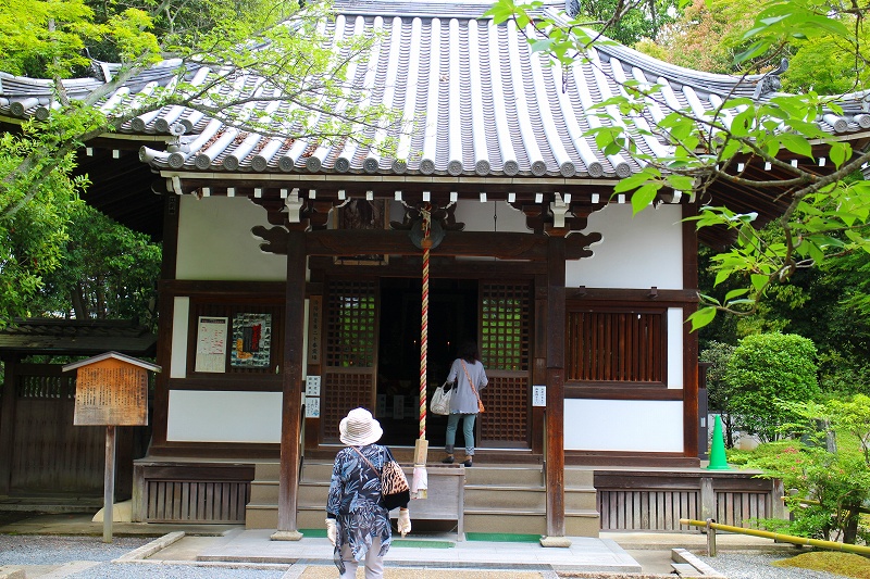 木々に包まれて静かにたたづむ『泉涌寺』20140527_e0237645_22343931.jpg