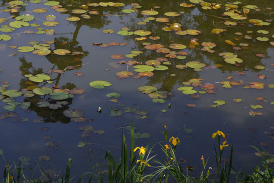 c0093046_821284.jpg