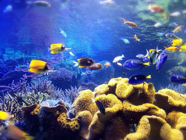 鳥羽水族館_e0292546_130953.jpg