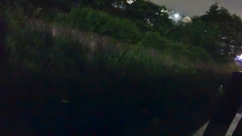 a0072247_885737.jpg