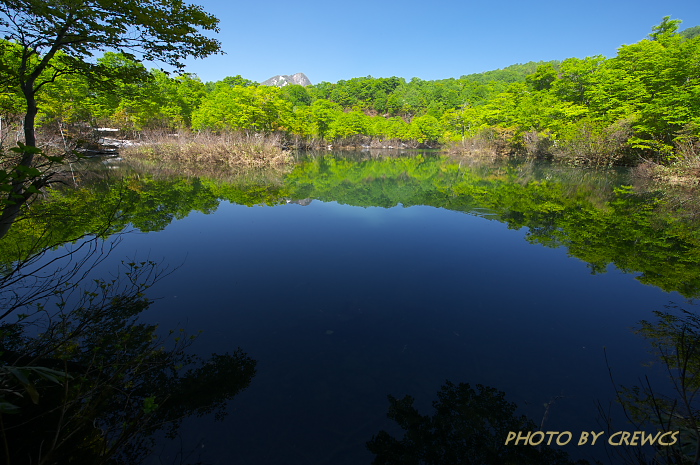 新緑の鎌池／長野県小谷村_e0056449_13241569.jpg