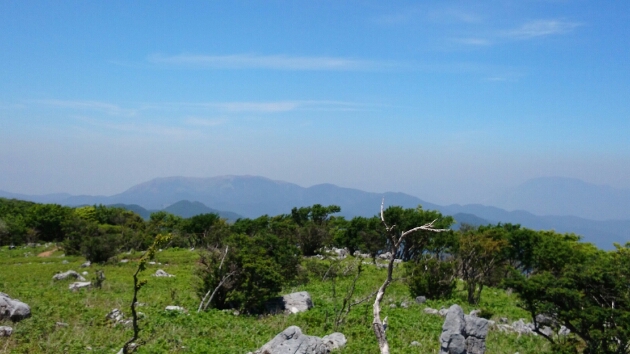 鈴鹿山系♪　藤原岳　清掃登山(*^^)v_b0148050_1847419.jpg