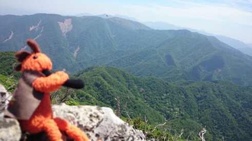 鈴鹿山系♪　藤原岳　清掃登山(*^^)v_b0148050_18494642.jpg