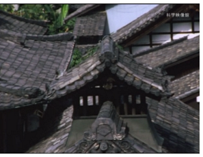 今週の配信映画はありません_b0115553_11335752.png