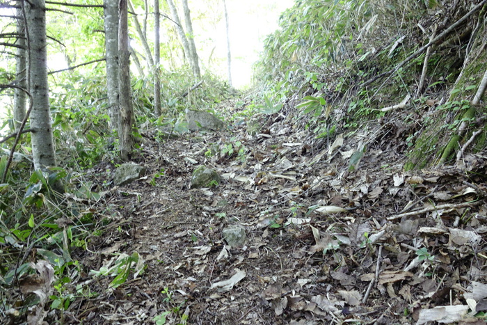 f0114954_22594345.jpg