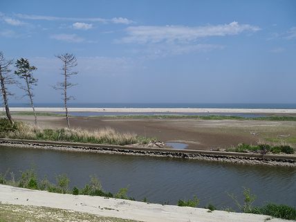 a0096557_17254893.jpg