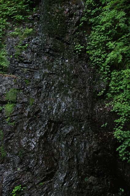 c0080357_11413584.jpg