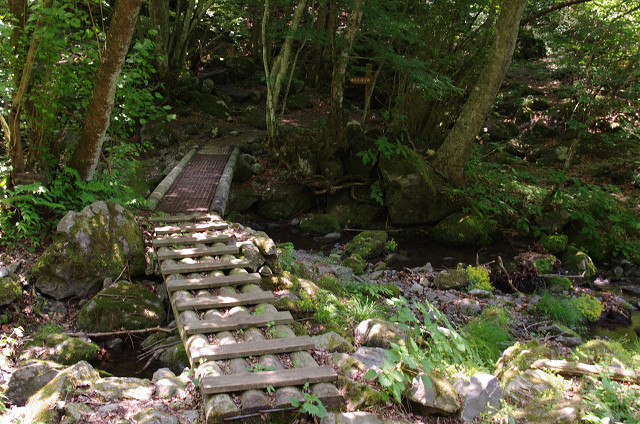 c0080357_11421744.jpg