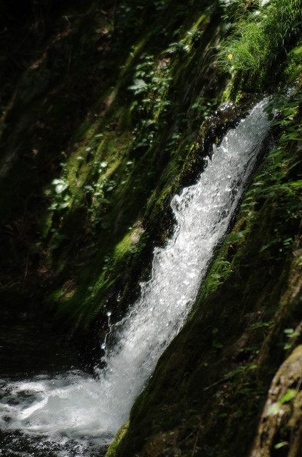 c0080357_11432814.jpg
