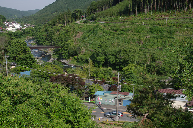 c0080357_1145029.jpg