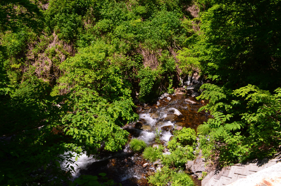 d0283357_17361679.jpg