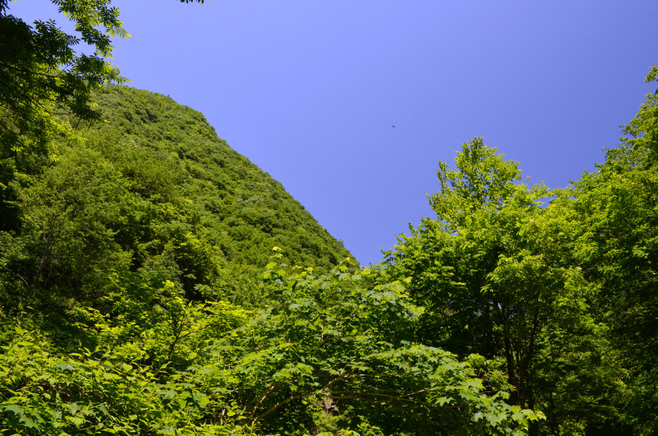 d0283357_17363481.jpg