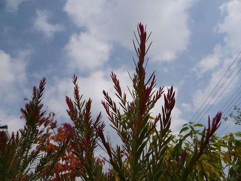 f0349957_1929442.jpg