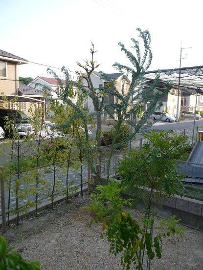 お引っ越ししました Lablanche お引っ越ししました Lablanche