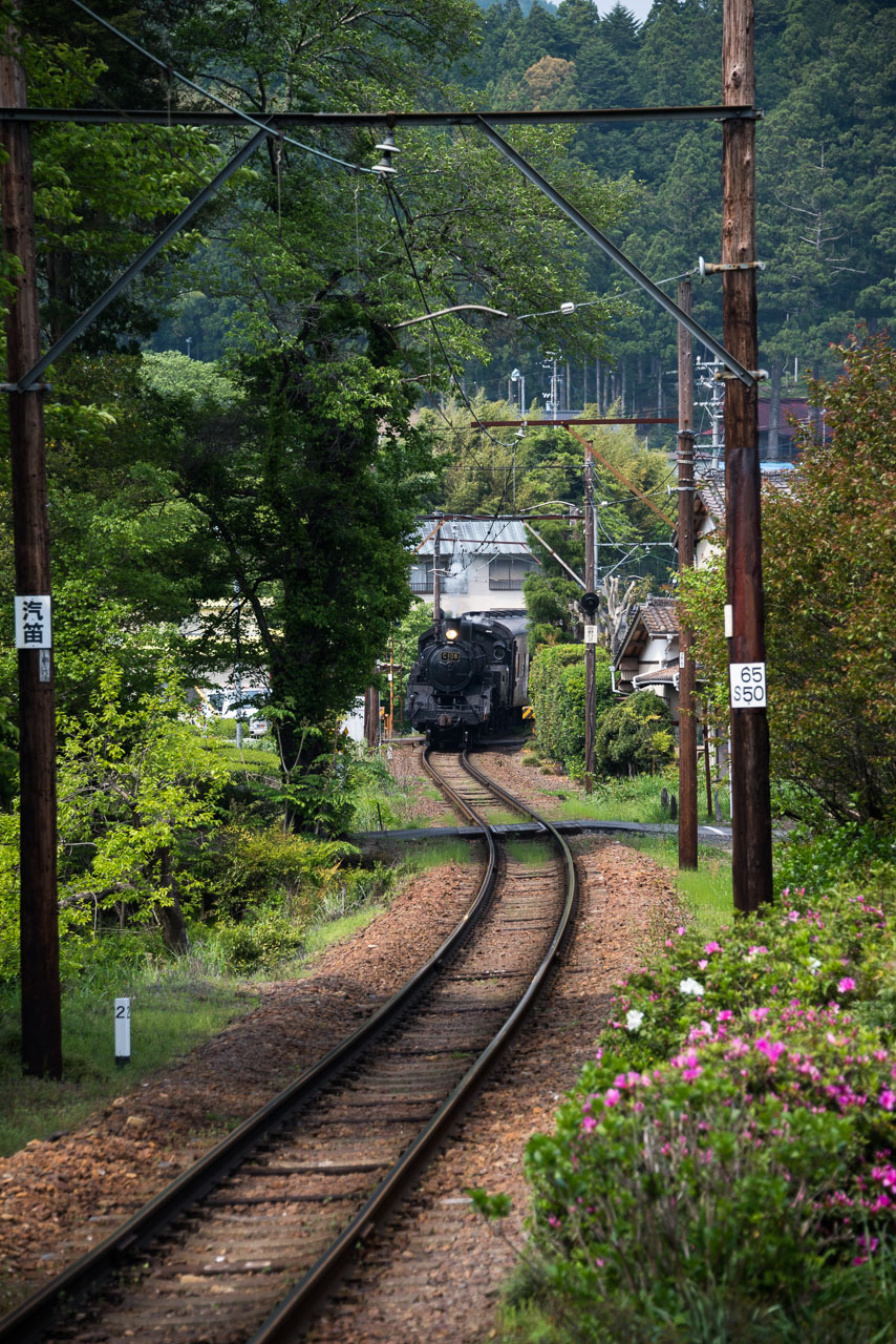 緑の中の蒸気機関車_a0212158_23380609.jpg