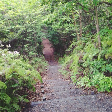 b0192658_13205914.jpg