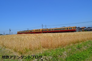 地鉄沿線を撮ってみました!黄金の景色編_a0243562_15423934.jpg