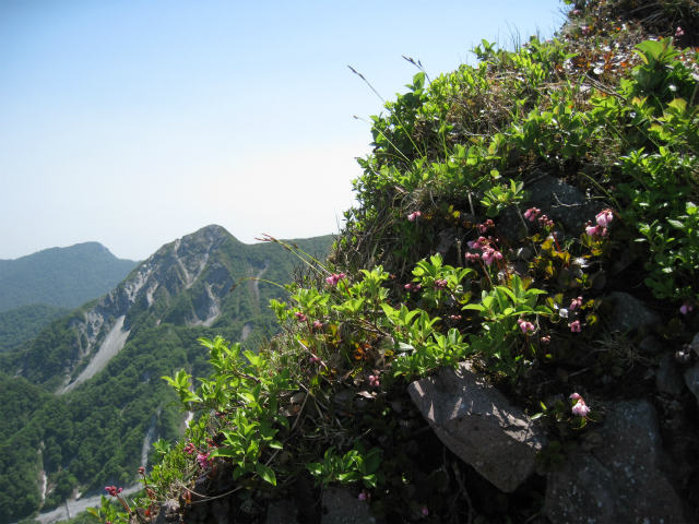 2014.5.31　伯耆大山1710ｍ_c0219866_939385.jpg