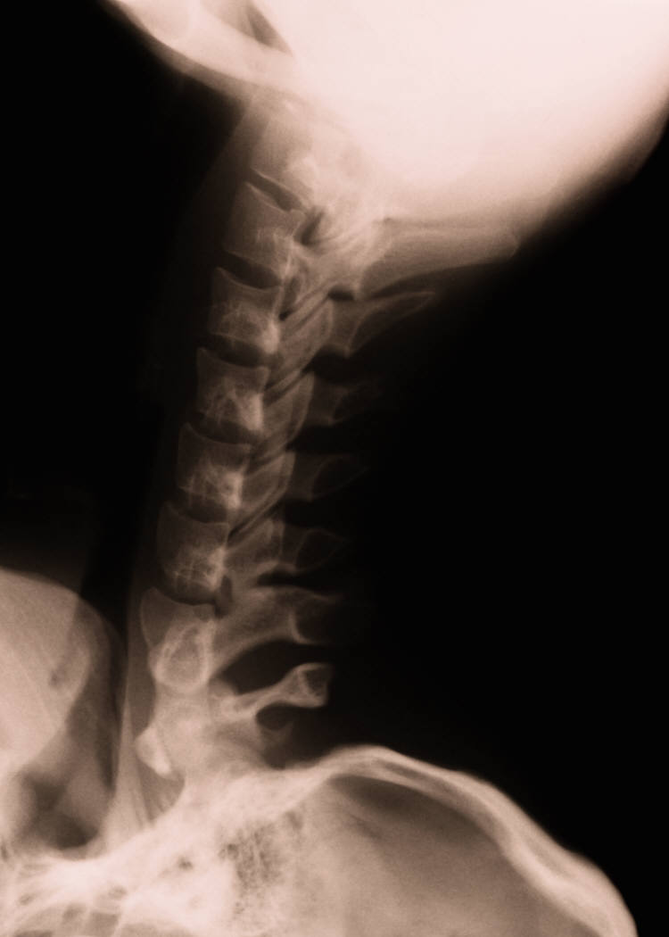 d0184967_14105845.jpg