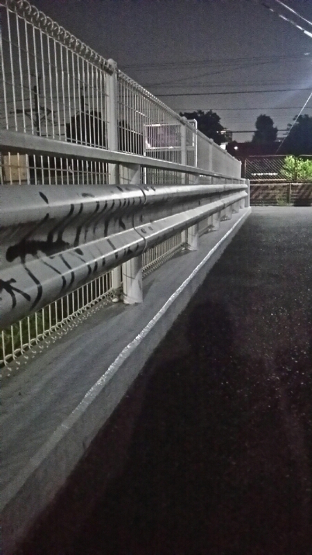 d0177473_1723234.jpg