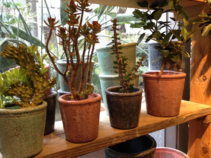 e0198377_10132012.jpg