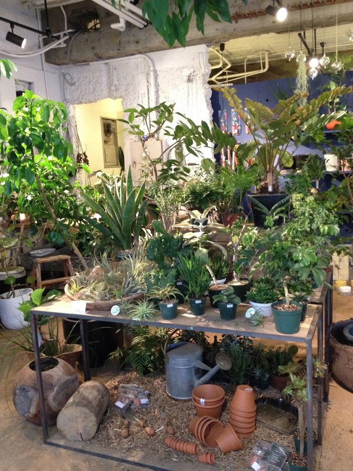 e0198377_1073613.jpg