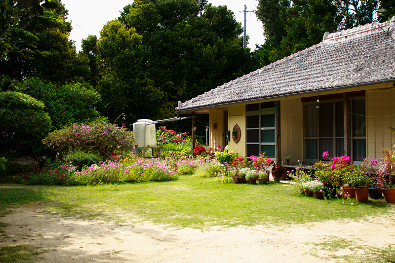 Bise green【Okinawa2014-08】_a0303780_22594340.jpg