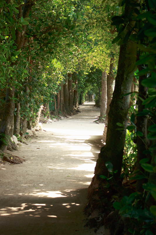 Bise green【Okinawa2014-08】_a0303780_23061310.jpg