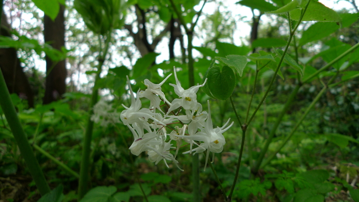 c0212083_2017287.jpg