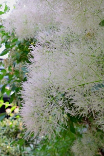 c0229483_003649.jpg