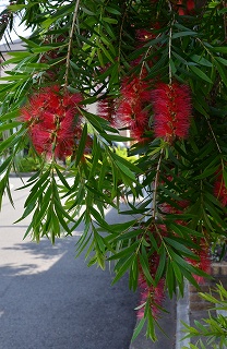 c0229483_011380.jpg